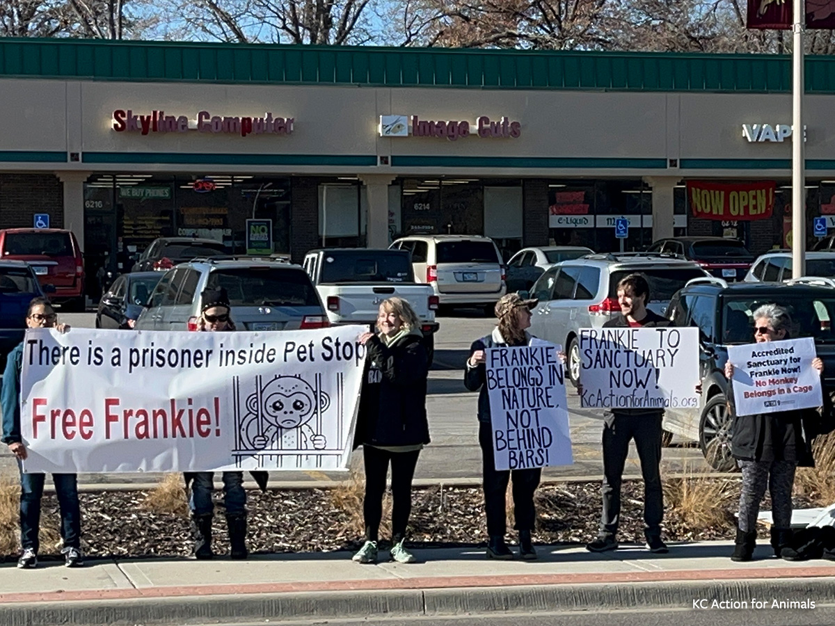 Free Frankie campaign protest outside Pet Stop in Shawnee, Kansas