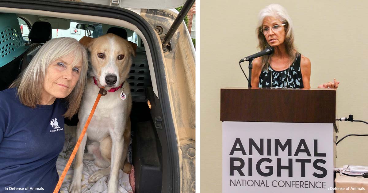 It’s National Justice for Animals Week!