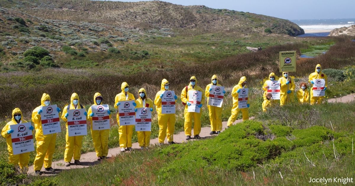 Point Reyes Protest VIDEO: Fecal Waste at Point Reyes National Seashore Protested by Elktivists